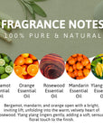 Ylang Ylang Citrus Aromatherapy Massage & Body Oil