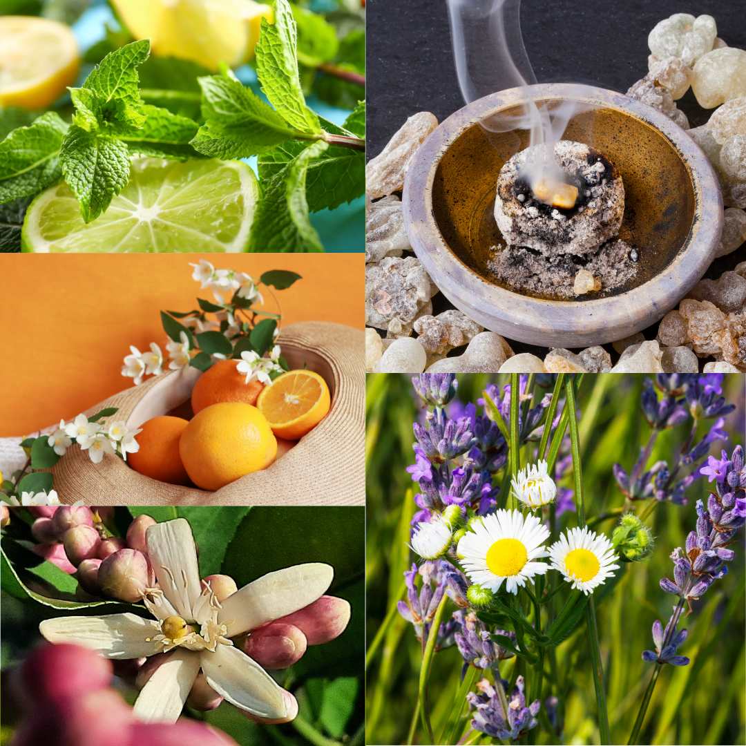 Collage of images to represent the aromatique set of essential oils by Best of Nature