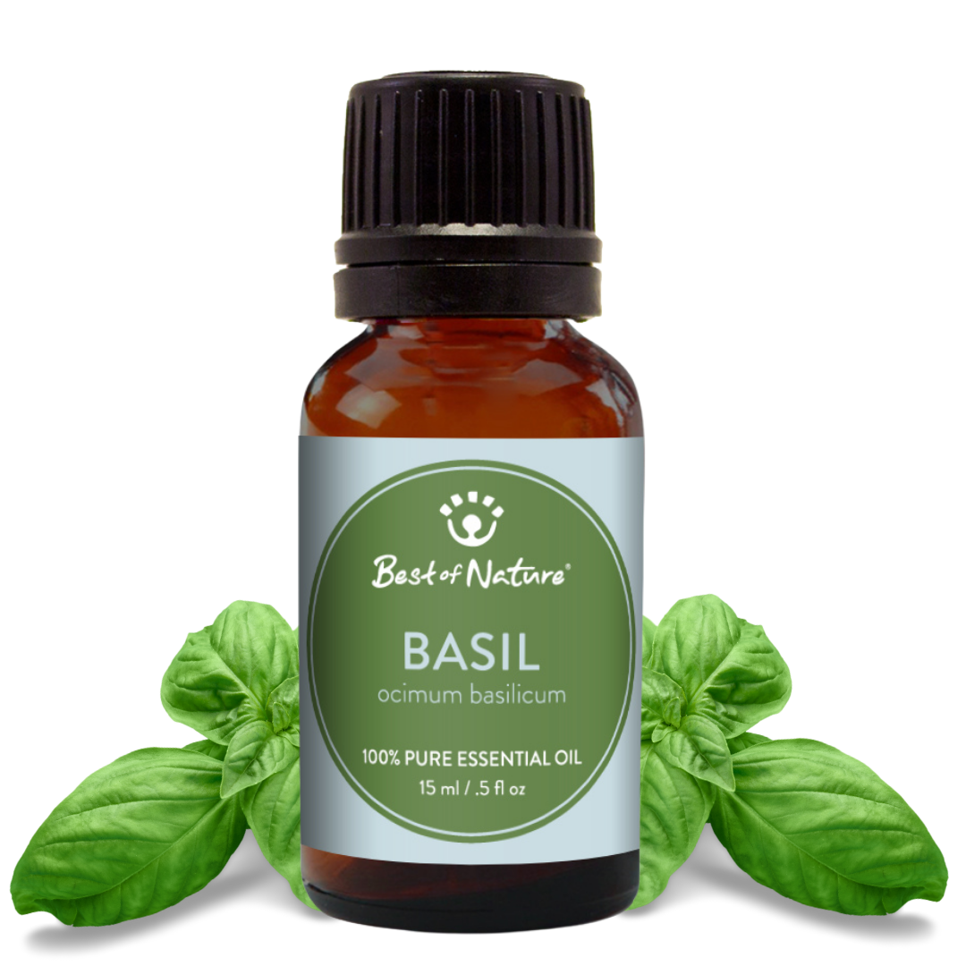 Basil Essential Oil - 100% Pure