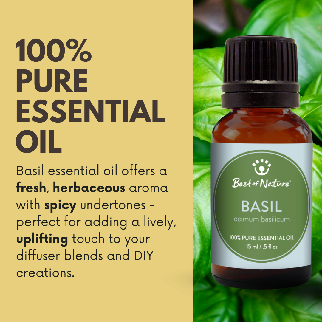 Basil Essential Oil - 100% Pure