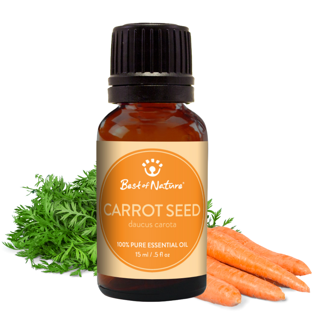 Carrot Seed Essential Oil - 100% Pure