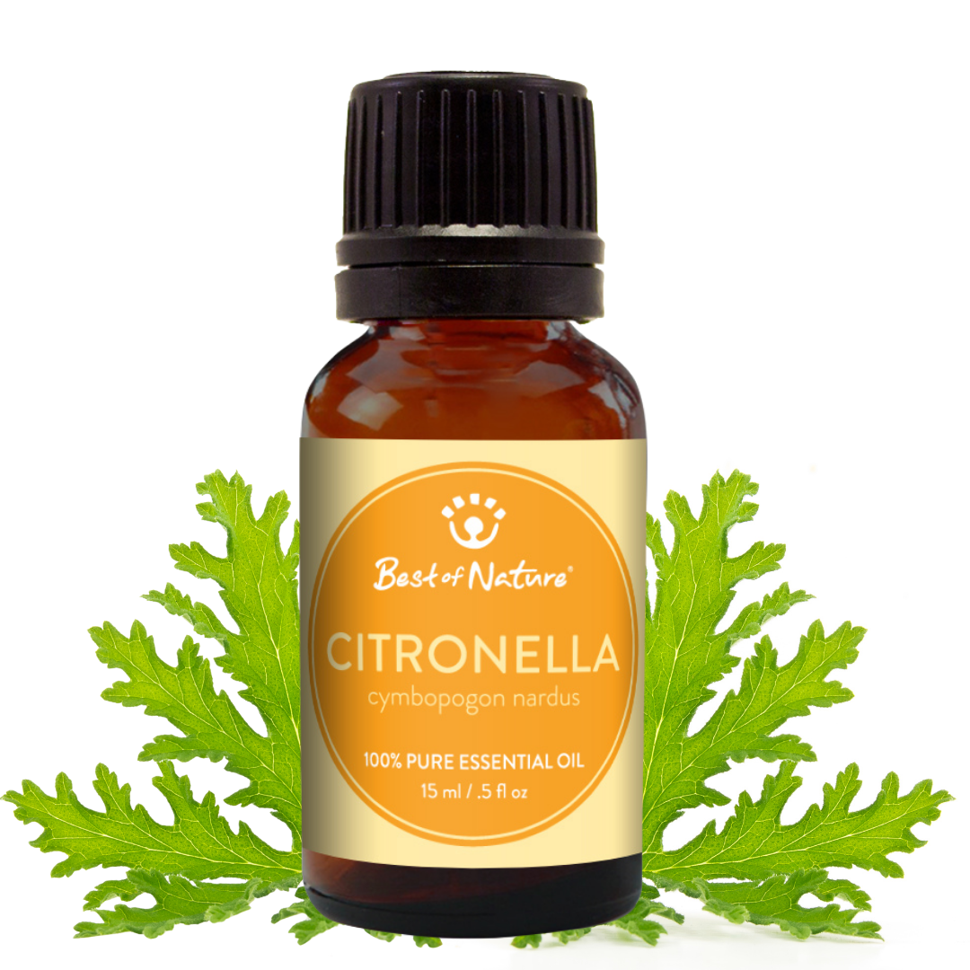 Citronella Essential Oil - 100% Pure