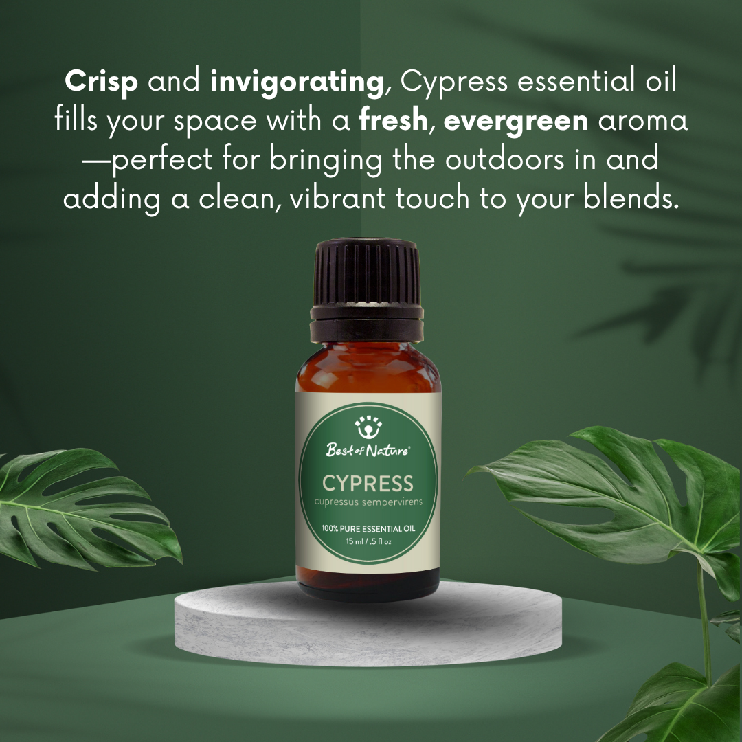 Cypress Essential Oil - 100% Pure