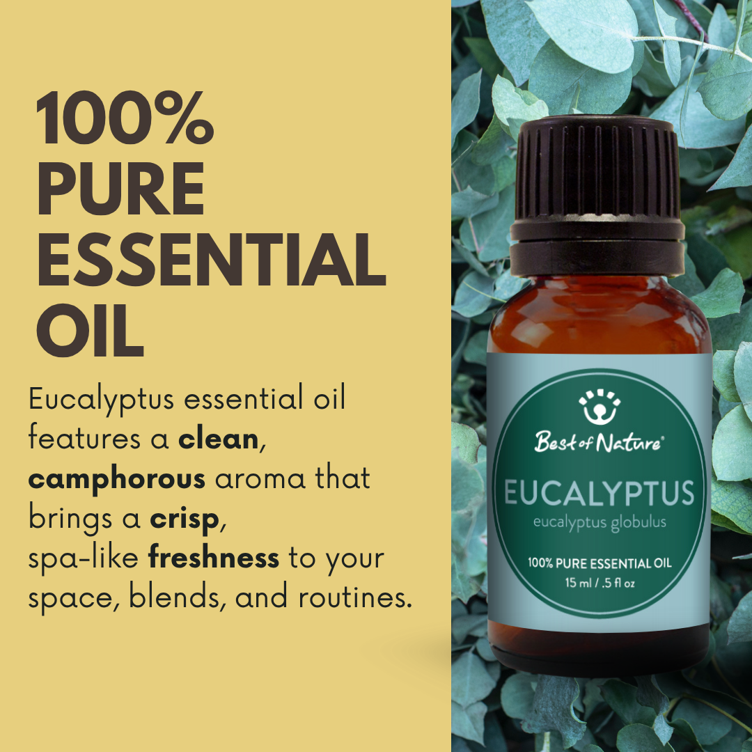 Eucalyptus Essential Oil - 100% Pure
