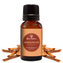 Sandalwood essential oil bottle with sandalwood pieces on a white background