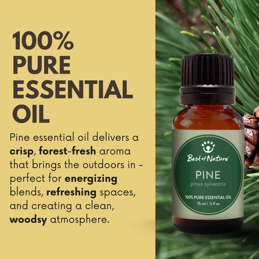 Pine Essential Oil - 100% Pure