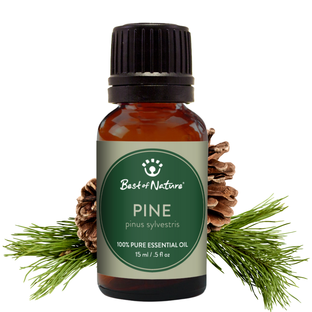 Pine Essential Oil - 100% Pure