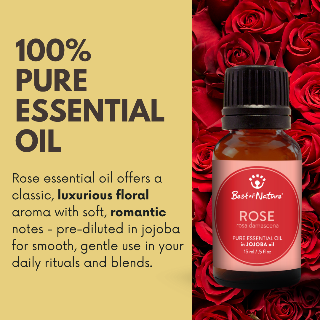 Rose Absolute Essential Oil blended with Jojoba Oil Rose Absolute Essential Oil blended with Jojoba Oil