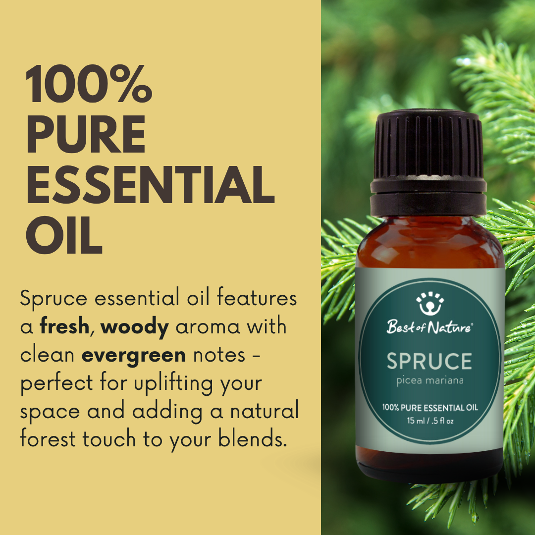 Spruce Essential Oil - 100% Pure