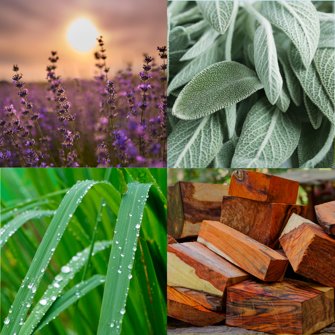 Tranquility Aromatherapy Massage & Body Oil