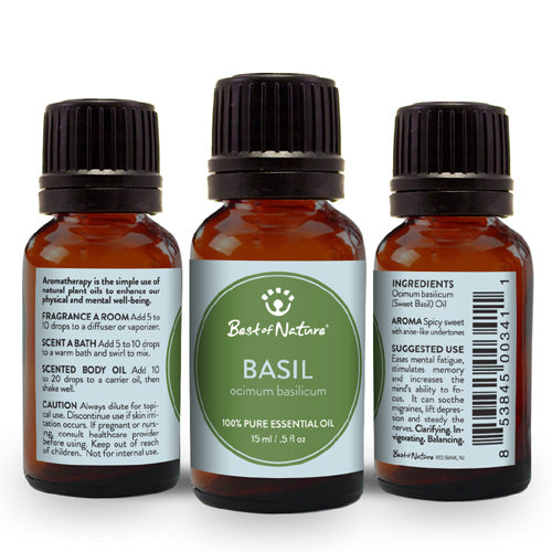 Sweet Basil Essential Oil - Spa &amp; Bodywork Market