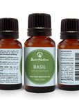 Sweet Basil Essential Oil - Spa & Bodywork Market