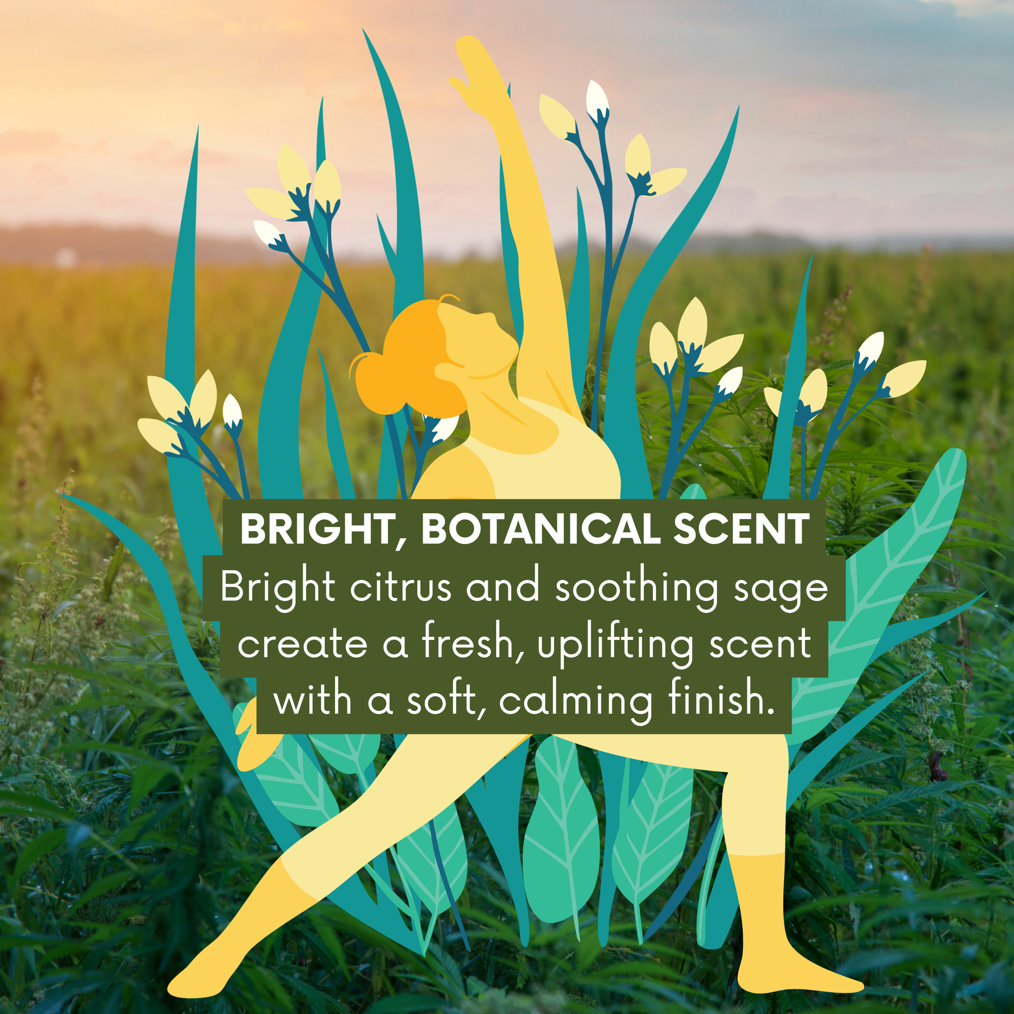 Lemongrass and Sage Aromatherapy Massage &amp; Body Oil