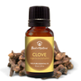 Clove Bud Essential Oil - 100% Pure