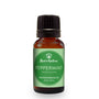 Peppermint Essential Oil - 100% Pure