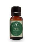 Pine Essential Oil - 100% Pure