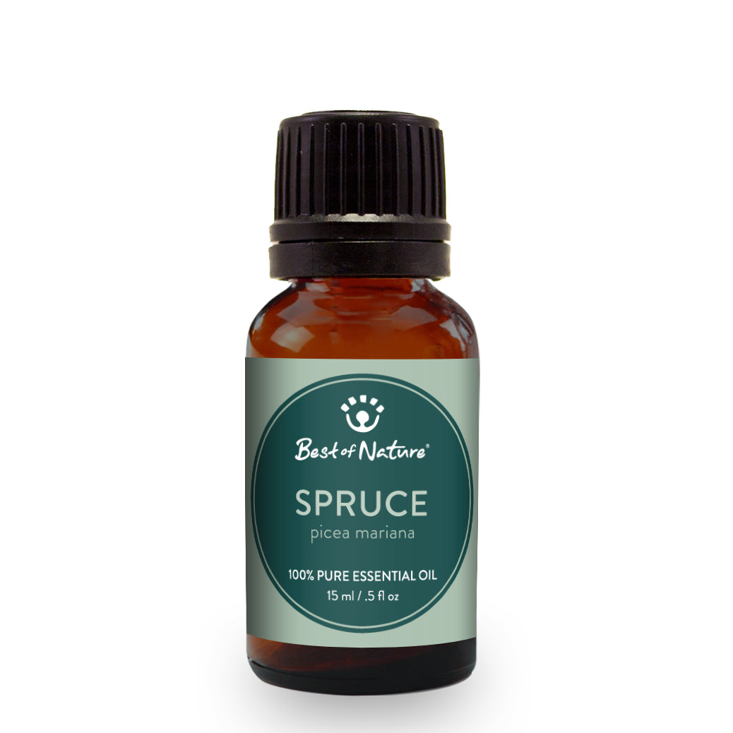 Spruce Essential Oil - 100% Pure