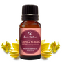Ylang Ylang Extra Essential Oil - 100% Pure