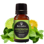 Invigorating Aromatique - Essential Oil Blend