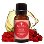 Rose Absolute Essential Oil blended with Jojoba Oil