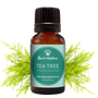 Tea Tree Essential Oil - 100% Pure