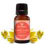 Ylang Ylang Essential Oil - 100% Pure