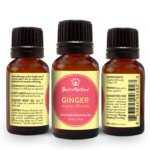 Ginger Essential Oil - Spa &amp; Bodywork Market