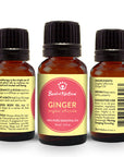 Ginger Essential Oil - Spa & Bodywork Market