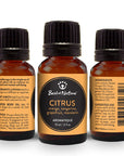 Citrus Aromatique - Spa & Bodywork Market